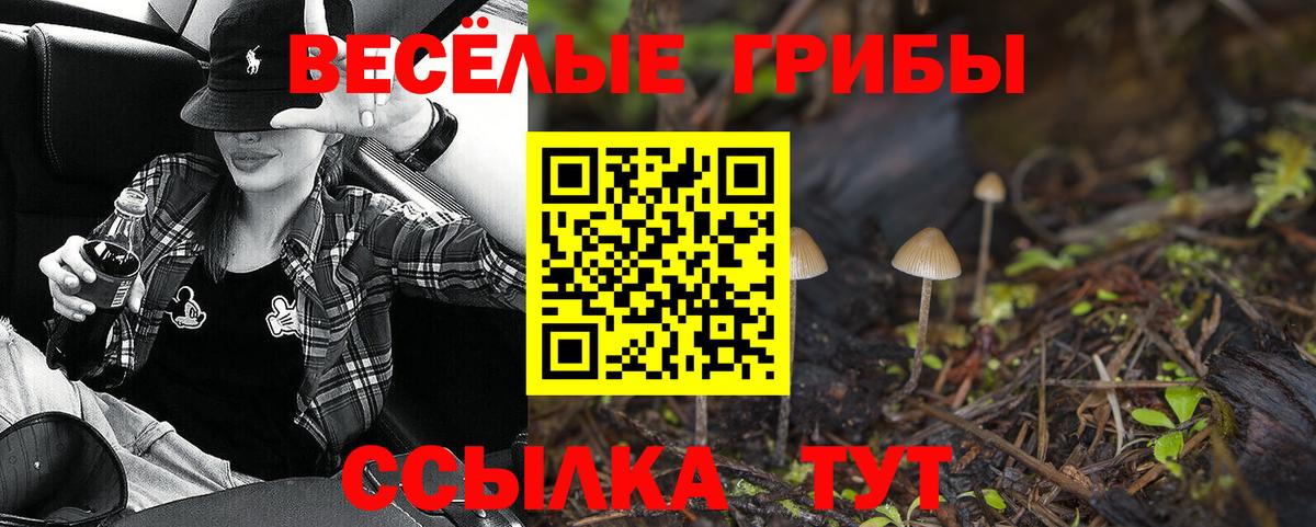 Псилоцибиновые грибы мухоморы Обнинск